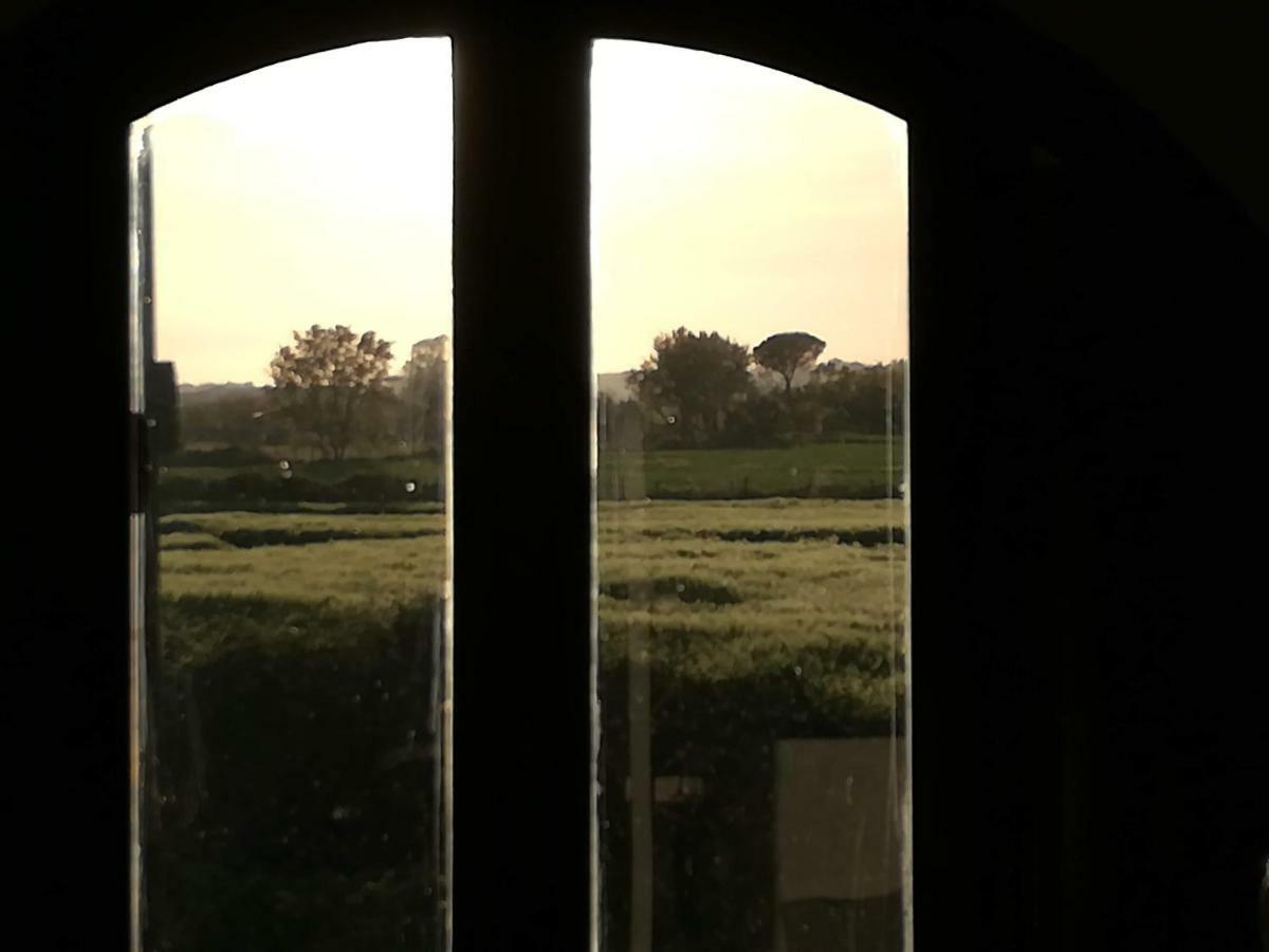 Minivilla A Viterbo A 5 Minuti Dal Centro Exterior foto
